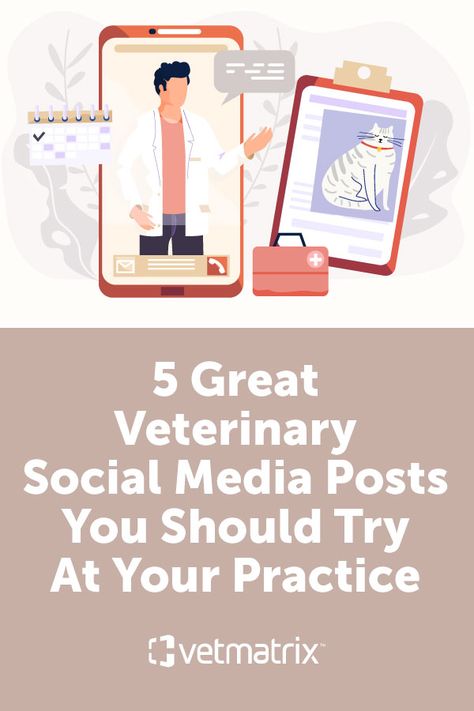 Veterinary Social Media Post Ideas, Veterinary Social Media Posts, Vet Clinic Social Media Posts, Vet Social Media, Vet Clinic Ideas, Veterinary Social Media, Vet Life, Veterinary Day, Posts Ideas