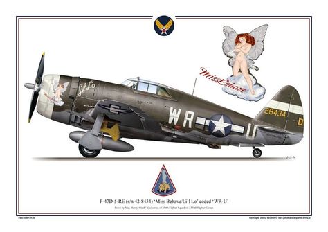 Spitfire Airplane, P47 Thunderbolt, P 47 Thunderbolt, Aircraft Nose Art, Aviation World, Wwii Plane, Ww2 Planes, American Fighter, Aircraft Art