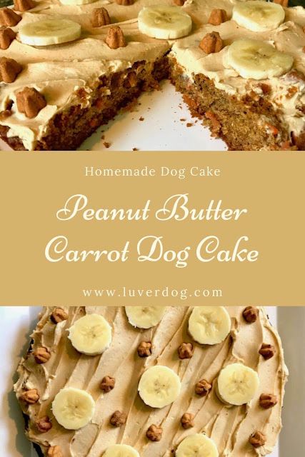 Peanut Butter and Carrot Dog Cake Carrot Dog Cake, Peanut Butter Dog Cake, Homemade Dog Cake, Dog Safe Cake Recipe, Dog Cake Recipe, Oat Cake Recipes, Treat Business, Dog Cake Recipes, Carrot Dogs