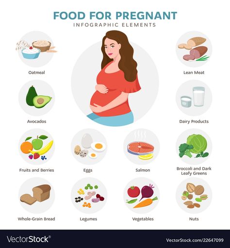 Healthy Food For Pregnant Women, Foods For Pregnant Women, Pregnancy Infographic, Cute Pregnant, Food For Pregnant Women, Pregnancy Images, Clock Drawings, Woman Cartoon, Egg Quality