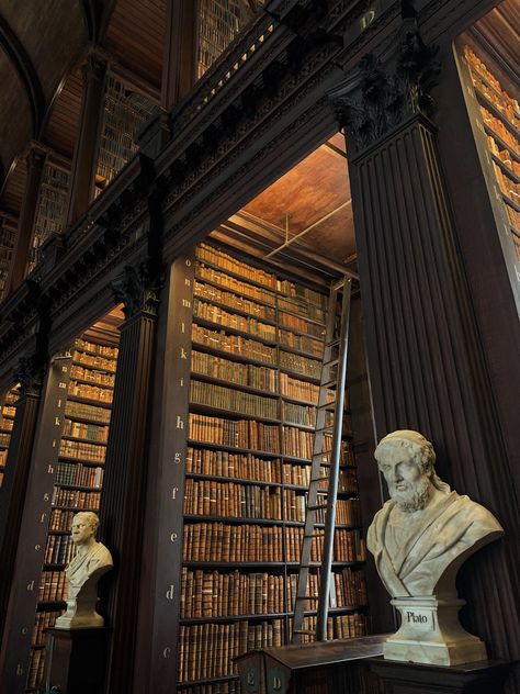 Dublin Library, Famous Library, Dublin Aesthetic, Female Genius, Landscape Building, Dublin Street, Greek Philosophy, Europe Photography, Greek Statues