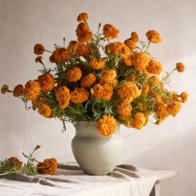 Spring Dried Flower Wedding, Wedding Flower Inspirtion, Rust Orange Dried Flowers, Dried Flower Large Arrangements, Thanksgiving Real Flower Centerpieces, Cheap Fall Wedding Flowers, Terracotta Fall Flower Aestheti, Wedding Flower Arangements, Boho Floral Wedding Table