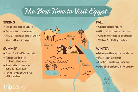 The Best Time to Visit Egypt Egypt Resorts, Egypt Culture, Sea Resort, The Red Sea, Travel Books, Visit Egypt, Travel Writing, Pyramids Of Giza, Egypt Travel