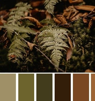 Olive Outfit Ideas, Dark Brown Palette, Big Family Pictures, Bathroom Color Palettes, Living Room Colour Palette, Mycelium Network, Green Brown Wedding, Room Colour Palette, Crochet Color Palette