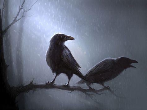 Crows Two Crows, Spooky Music, Odin's Ravens, Raven Tattoo, Crow Art, Black Birds, Raven Art, Crows Ravens, Black Crow