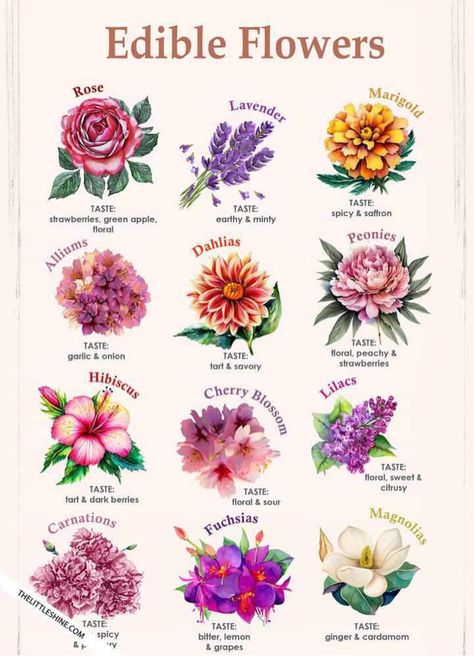 Pretty Flower Names, Micro Herbs, Flower Dictionary, Writing Things, Spiritual Journals, Popular Flowers, Flower Guide, Flower Meanings, Marigold Flower