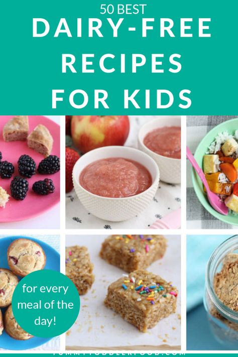 Dairy Free Recipes For Toddlers, Dairy Free Recipes For Kids, Recipes For Toddlers, Dairy Free Lunch, Lactose Free Recipes, Dairy Free Snacks, Milk Allergy, Dairy Free Dinner, Lactose Free Diet