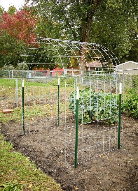 Bean plants climb and cover anything in their path, but can sometimes look messy and tangled. Try making this arched bean trellis for your garden to give them a structured path to follow for a tidier look. #beantrellis #landscaping #gardendesign #gardeningideas #bhg Bean Trellis, Plantarea Legumelor, Diy Garden Trellis, نباتات منزلية, Garden Arbor, Garden Arches, Veg Garden, Have Inspiration, The Secret Garden