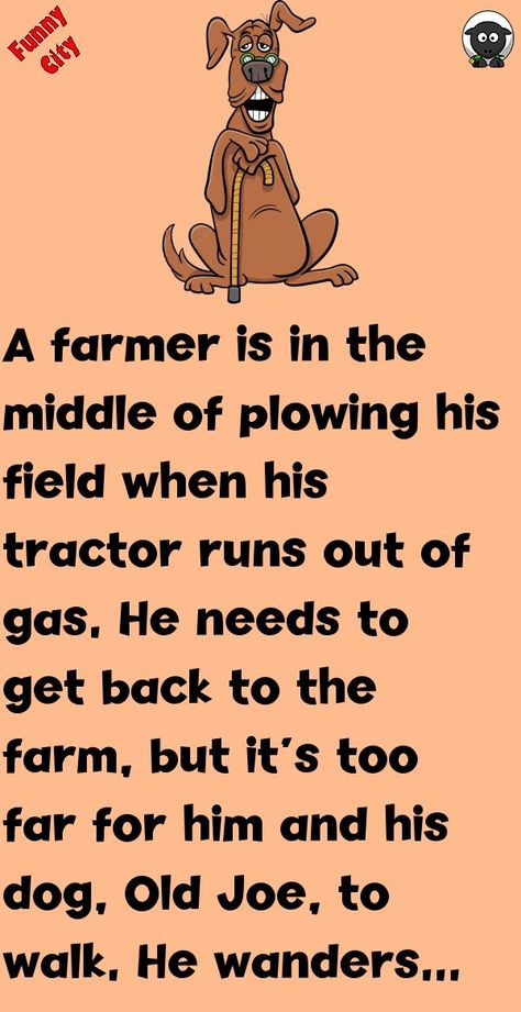 A farmer is in the middle of plowing his field when his tractor runs out of gas.He needs to get back to the farm, but it's too far for him and his dog, Old Joe, to walk.He wanders out.. #funny, #joke, #humor Farmer Jokes, Out Of Gas, Farm Humor, Funny City, Fart Humor, Dancing Animals, Joke Stories, Latest Jokes, Country Jokes