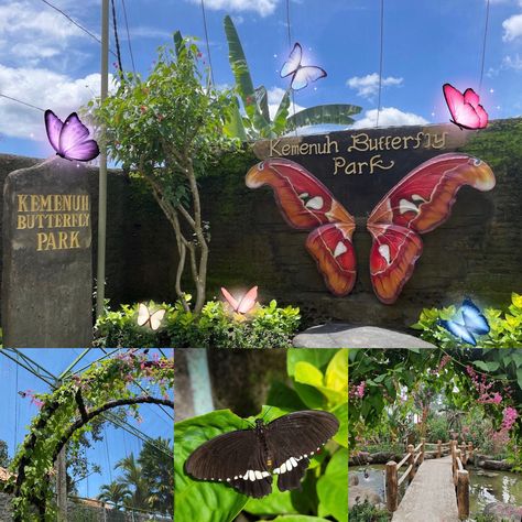 Kemenuh Butterfly Park 🦋 Seoul Attractions, Finns Beach Club, San Francisco Attractions, Los Angeles Attractions, Chicago Attractions, Butterfly Park, Tivoli Gardens, London Attractions, Jimbaran