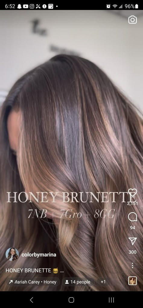 Diy Brown Hair Dye At Home, Bronde Redken Shades Eq Formula, Redken Brunette Formulas, Teddy Bear Bronde Formula, Honey Bronde Haircolor, Honey Brunette, Shades Formulas, Redken Shades Eq Formulas, Toner Formulas