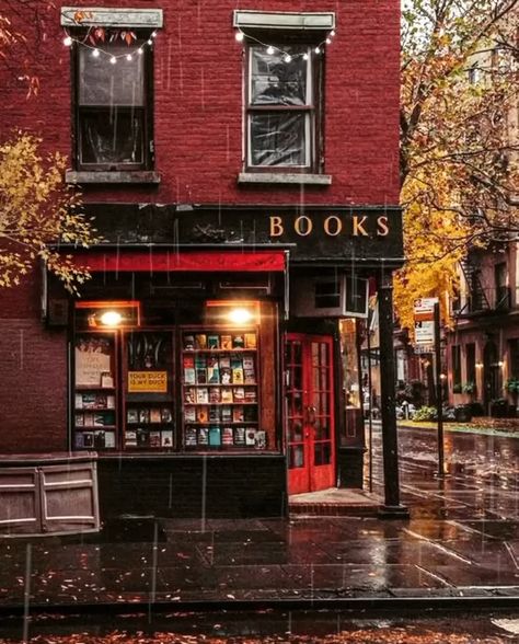 Tea Person, Indie Bookstore, Hundred Acre Woods, Book Cafe, Phone Battery, A Rainy Day, City Aesthetic, Book Store, Middle Earth