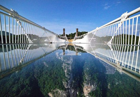 World's tallest and longest glass bridge closes after only 13 days Glass Bridge China, Glass Bridge, Zhangjiajie, Tourism Development, Bridge Photography, Italy Tours, Harbin, Pedestrian Bridge, Europe Tours