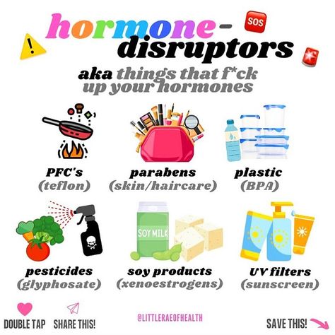 Emily | HORMONE NUTRITIONIST on Instagram: “🚨✨WATCH OUT ⚠️ for these sneaky endocrine disruptors! 👋🏼 💄👄 ☠️ HERES WHY👇🏼 First things first...what are they?! Endocrine disruptors are…” Endocrine Hormones, Sperm Health, Endocrine Disruptors, Soy Products, First Things First, Make Good Choices, Mineral Sunscreen, Living A Healthy Life, Healthy Gut