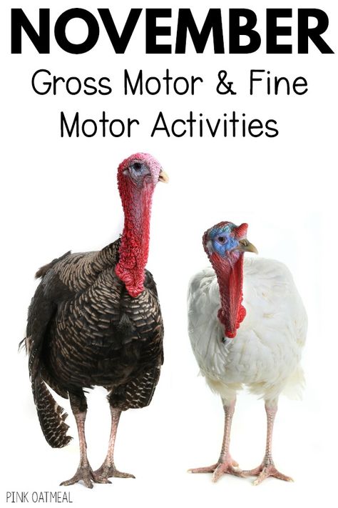 November Gross Motor and Fine Motor Activity Planning | Pink Oatmeal Thanksgiving Fine Motor Preschool, Thanksgiving Gross Motor, Pediatric Physical Therapy Activities, Pink Oatmeal, Turkey Theme, Infant Lesson Plan, Kinesthetic Learning, Gross Motor Activity, Fine Motor Activity