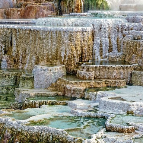 About 50 hot springs and colorful limestone terraces lie within the area of Yellowstone. Drive to this geyser basin year-round. Mammoth Hot Springs, Yellowstone National Park Vacation, Rv Road Trip, National Park Vacation, Family Adventure, Yellowstone National Park, Hot Springs, Wyoming, Landscape Photography