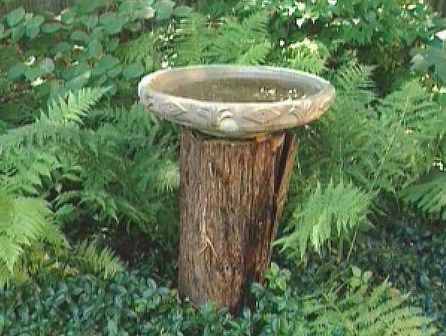 Top 10 Amazing Things to do With Tree Stumps Rustic Bird Baths, Tree Stump Ideas, Tree Stump Decor, Stump Ideas, Tree Stump Planter, Diy Bird Bath, Tree Stumps, Bird Bath Garden, Old Trees