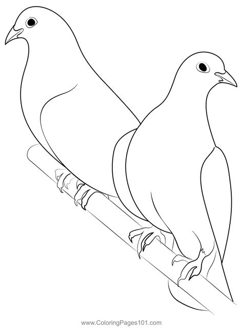 Birds Love Birds Dove Coloring Page Bird Coloring, Bird Coloring Pages, Easy Coloring, Easy Coloring Pages, Coloring Pages Printable, Art Drawings For Kids, Sketch Art, Creative Outlet, Drawing Sketch