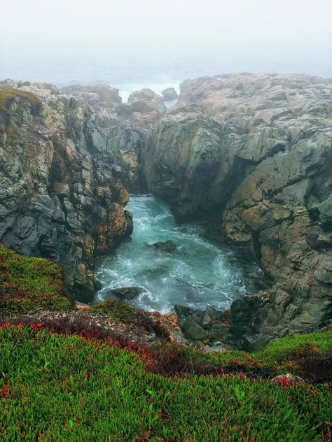 Gooseberry Cove, Cape Breton Cape Breton Nova Scotia, Nice Life, Cape Breton Island, East Coast Travel, East Coast Road Trip, Background Nature, Scenery Photos, Amazing Landscapes, Canadian Travel