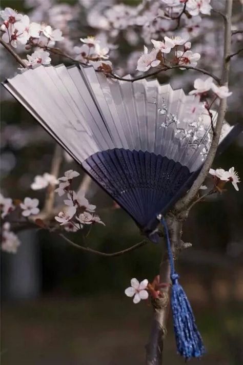 Ancient Chinese Aesthetic, Ancient China Aesthetic, Chinese Fans, Chinese Princess, Antique Fans, Chinese Aesthetic, Authentic Beauty, Fairy Artwork, Purple Hands