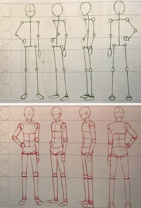 Sketching Anatomy Human Figures, How To Draw Human Anatomy Step By Step, Basic Anotamy Drawing, Teen Body Anatomy Drawing, Human Anatomy Simplified, Human Anatomy Stick Figures, Classic Figure Drawing, Human Figure Tutorial, Anatomy Lessons Drawing