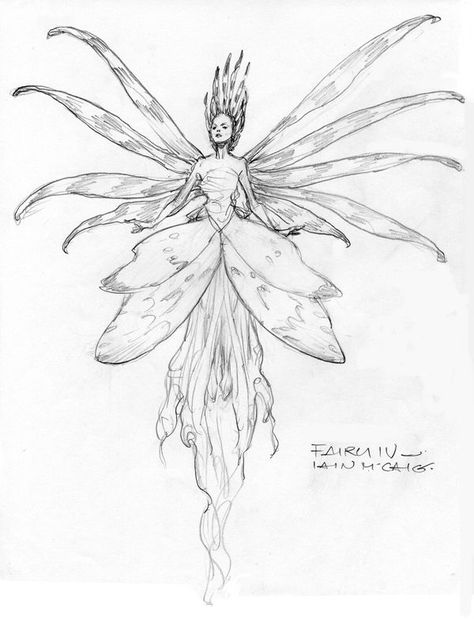 Iain Mccaig, Fairy Woman, Fairy Sketch, Fairy Drawings, 동화 삽화, Fairy Tattoo, 캐릭터 드로잉, Arte Sketchbook, Arte Inspo