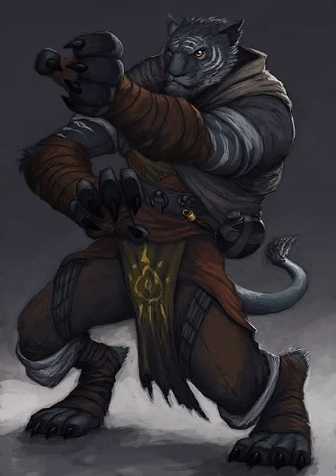 Dnd Tabaxi Monk, Tabaxi Barbarian, Tabaxi Monk, Dnd Npc, Dnd Ideas, Male Characters, Tiger Art, Dungeons And Dragons Characters, Creature Concept Art