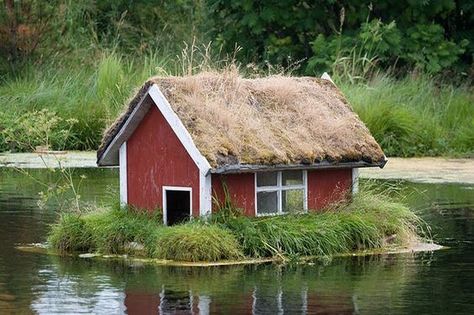 Duck House On Pond, Geese House, Pond Docks, Floating Duck House, Pond Dock, Duck Ponds, Duck House Plans, Duck Houses, Duck Island