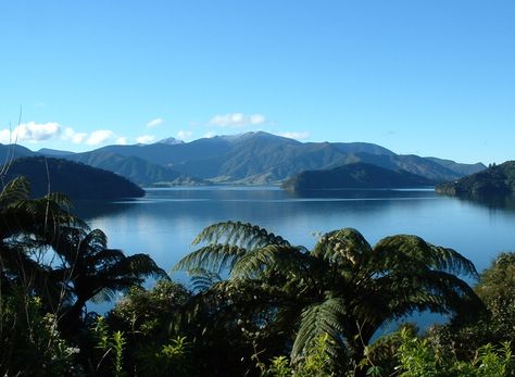 Take in the beauty of Queen Charlotte Sounds, driving, tour, tramping,or there are bike tracks too, in the Marlborough, Uppermost South Island, New Zealand Nz Landscape, Nz South Island, Marlborough New Zealand, Marlborough Sounds, Beautiful Vacation Spots, New Zealand Landscape, New Zealand Houses, Queen Charlotte, New Zealand Travel