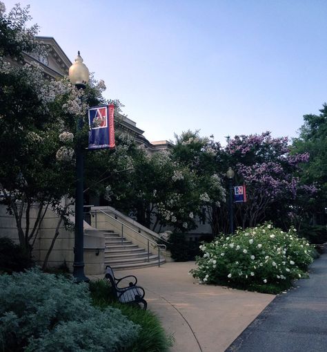 American University Washington Dc Campus, American University Of Paris, American University Aesthetic, Dc Brownstone, Romanticize University, American University Washington Dc, College Inspiration, College Vision Board, University Of Paris