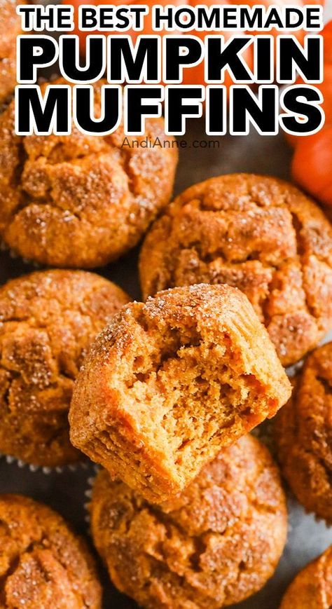 Fresh Pumpkin Muffin Recipes, Pumpkin Muffins With Yogurt, Pumpkin Muffins With Applesauce, Pumpkin Flaxseed Muffins, Pumpkin Nut Muffins, Cream Of Wheat Muffins, Organic Pumpkin Muffins, Pumpkins Muffins, Sugar Pumpkin Pie Recipe