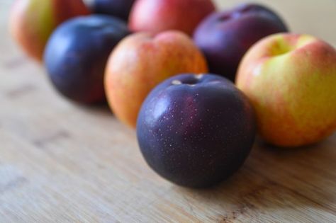 How to Freeze Whole Peaches & Plums Freezing Plums, Freezing Peaches, Plum Preserves, Freezing Apples, Apple Butter Recipe, Apple Varieties, Apple Chips, Dried Apples, Black Apple