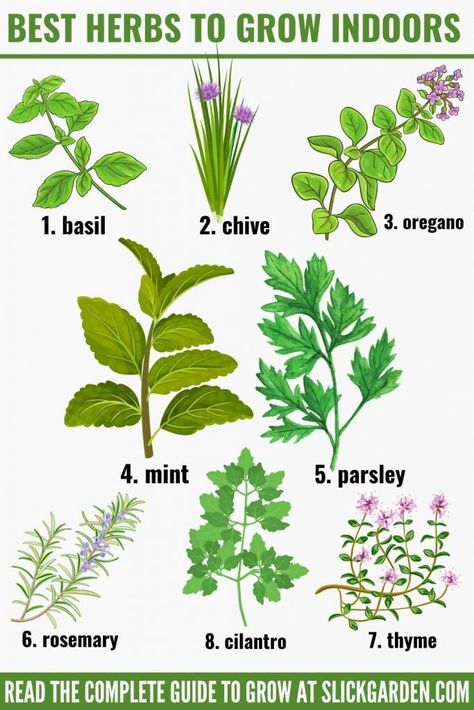 Indoor Garden Herbs, How To Grow Veggies Indoors, How To Grow Indoor Herbs, Grow Herbs At Home, Grow Indoor Herbs, Edible Plants To Grow Indoors, Best Indoor Herbs To Grow, Indoor Herbs Ideas, Home Herb Garden Indoor