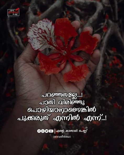 Lost Love Quotes In Malayalam, Goodbye Love Quotes, Love Quotes In Malayalam, Lost Love Quotes, Pink Song Lyrics, Quotes Distance, Situation Quotes, Witty Instagram Captions, Birthday Quotes Funny For Him