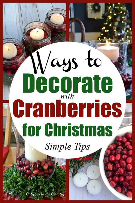 Collage of cranberries and Christmas decorations Cranberry Crafts, Cranberry Appetizer, Appetizer Christmas, Filled Vases, Simple Paint, Christmas Vignettes, Home Makeovers, Cranberry Recipes, Diy Pins