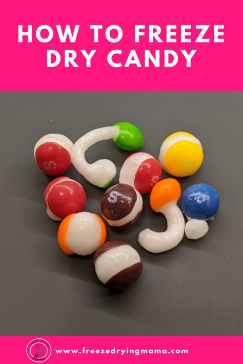 Candy is a fun food to put into your food storage or to gift to someone for Valentine's Day. Have you had anything tasty like these? Or stockpiled them in the last few months? Freeze Dried Skittles Diy, Skittles Recipes, Freeze Dry Candy, Swedish Fish Candy, Harvest Right Freeze Dryer, Sour Gummy Worms, Dried Peaches, Freeze Dried Candy, Dried Candy