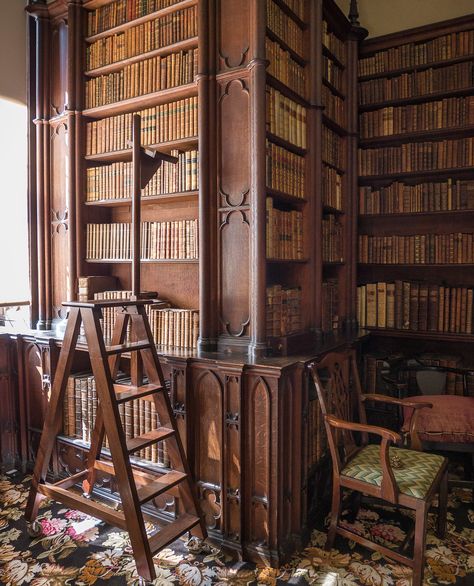 English Country Manor Interiors, Old English Library, Country Library, Castle Library, Library Steps, Ian Mcque, Manor Interior, English Country Manor, Cromer Norfolk