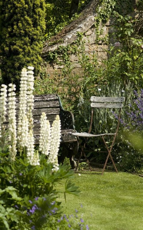 Arne Maynard, Moon Garden, Have Inspiration, Garden Gate, Romantic Garden, White Gardens, Gorgeous Gardens, Country Gardening, Garden Gates