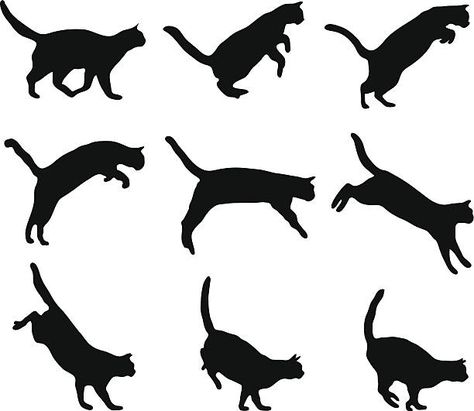 Jump Animation, Jumping Poses, Cat Jumping, Jumping Cat, Cat Anatomy, Cat Reference, Animation Sketches, Cat Clipart, Cat Pose