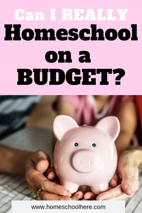 Can I Really Homeschool On a Budget? – Homeschool Here Things To Sell Online, Homeschool Nook, Homeschool Advice, Where To Sell, Homeschooling Resources, Diy Money, Homeschool Help, Homeschool Planning, Fun Worksheets