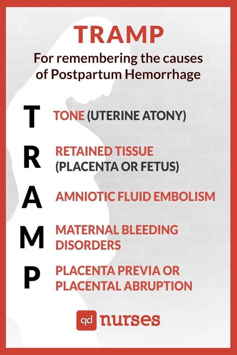 nclex, nursing review, nursing mnemonics, nursing student Blood Pressure By Age, Postpartum Hemorrhage, Midwifery Student, Postpartum Nursing, Amniotic Fluid, Nursing Mnemonics, Nursing School Tips, Medical School Studying, Nursing School Notes