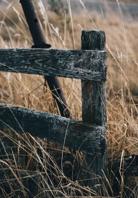 Old Fence Rustic Fence Ideas Country Living, Old Farm Fence, Creative Vision Boards, Southern Nights, Old Barn Doors, Rustic Fence, Old Fences, Building A Fence, Farm Fence