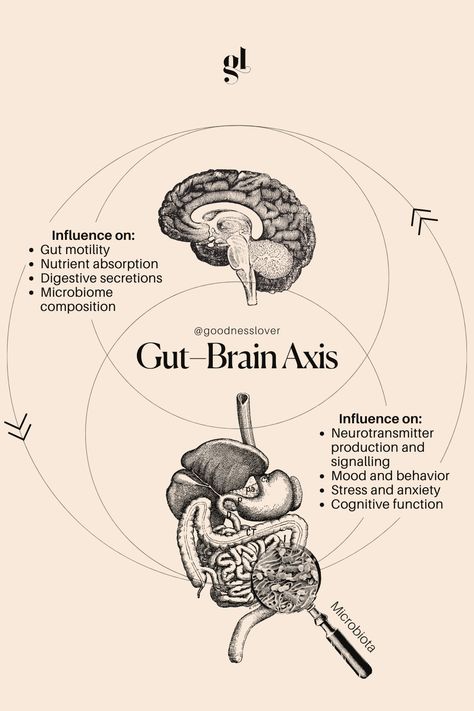 Did you know our gut health plays a major role in influencing our mental well-being? 🧠✨ From the food we eat to the complex network of neurons in our gut, it's a two-way street of communication between the gut and the brain. 🌿💭 Check out our post to discover the incredible connection shaping our mood, cognition, and overall health. 🌐