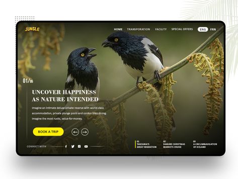 Website Slider Design, Slider Ui, Slider Web, Website Slider, Ui Ux Design Trends, Ux Design Trends, Website Ui Design, Slider Design, Ui Ux Design Inspiration