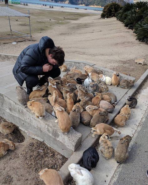 Bunny Island, Rabbit Island, Pet Rabbits, Bunny Lady, Raising Farm Animals, Rabbit Life, Save Nature, Rabbit Care