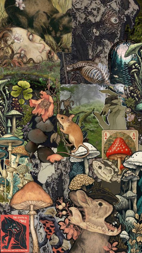 Memento mori with a deep appreciation for nature and little guys Goblincore Pfp, Goblincore Wallpaper, Dragon Bird, Goblincore Aesthetic, Frog Wallpaper, Forest Core, Goblin Core, Magazine Collage, My Fantasy World