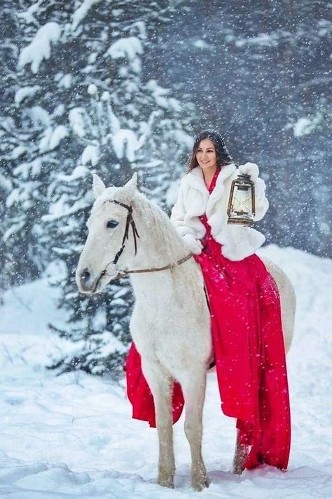 Wedding Cinematography Videos, Pictures With Horses, Elegant Horse, Winter Horse, Horses Theme, Snow Photography, Farm Photography, Christmas Horses, Christmas Shoot