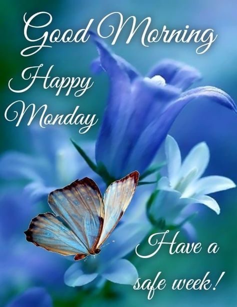 Good Morning Inspirational Images, Good Morning Monday Quotes, Morning Monday Quotes, Animated Good Morning, Monday Morning Greetings, Happy Monday Pictures, New Week Quotes, Have A Blessed Monday, Good Morning Gif Images