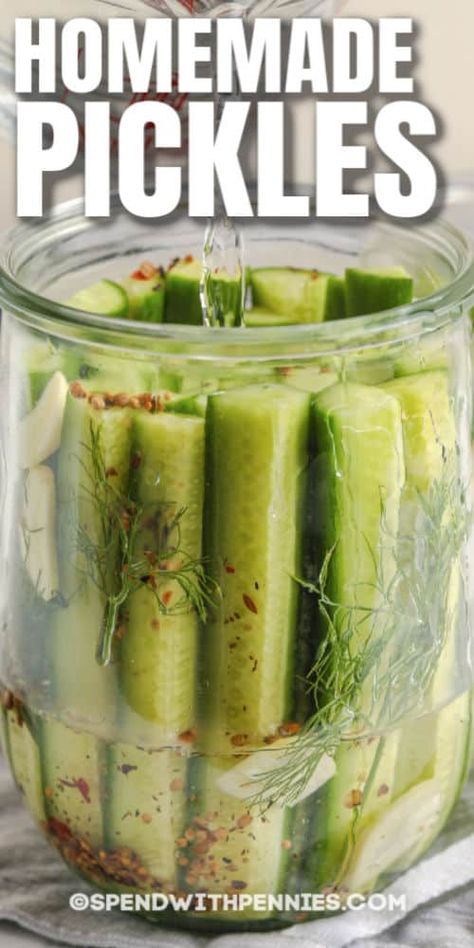 Refrigerator Pickles are an easy, healthy snack! Full of fresh dill and garlic, these pickles can be enjoyed all year long! #spendwithpennies #refrigeratorpickles #recipe #homemade #easy #dillpickles Pickled Okra Recipes, Refrigerator Pickles Dill, Homemade Pickles Dill, Dill Pickle Recipe, Dill Recipes, Best Pickles, Pickled Okra, Canning Pickles, Okra Recipes