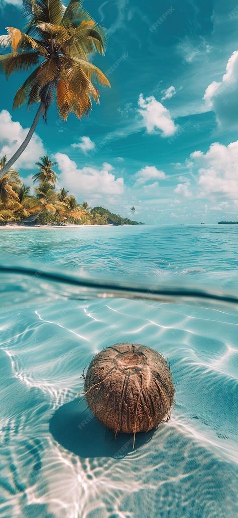 Premium Photo | A coconut floating in the clear blue sea tropical island background sunny day Tropical Beach Aesthetic, Caribbean Pictures, Call Background, Tropic Island, Island Background, Monthly Wallpapers, Tropical Aesthetic, Travel Aesthetics, Island Wallpaper